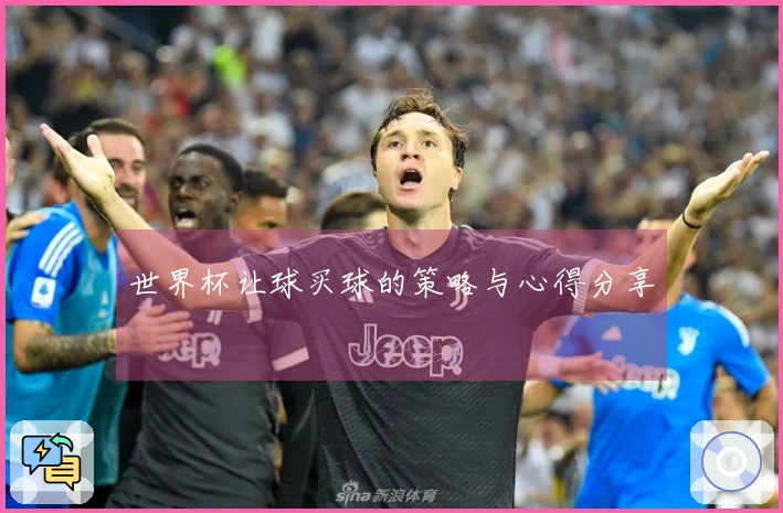 世界杯让球买球的策略与心得分享