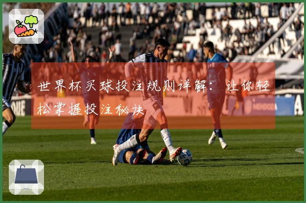 世界杯买球投注规则详解：让你轻松掌握投注秘诀