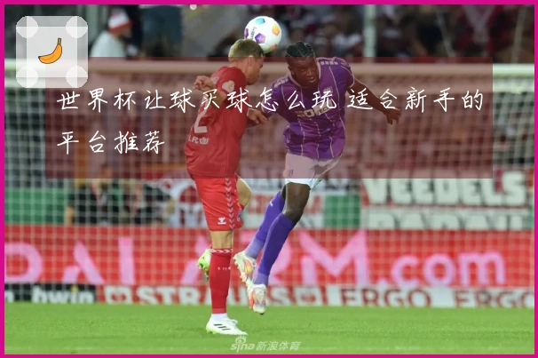 世界杯让球买球怎么玩 适合新手的平台推荐