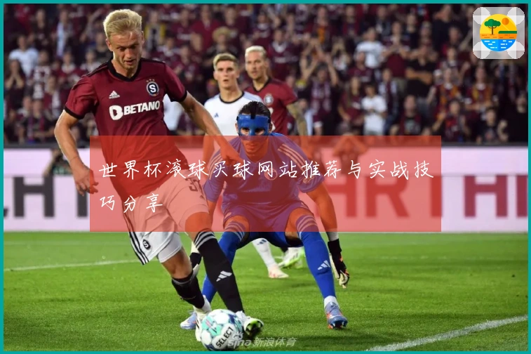 世界杯滚球买球网站推荐与实战技巧分享